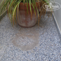 фото из отзыва ID 1558752