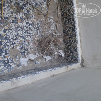 фото из отзыва ID 1558752