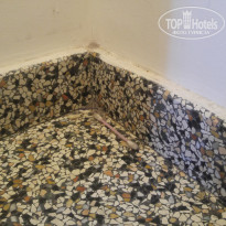 фото из отзыва ID 1558752