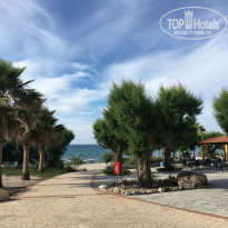 фото из отзыва ID 1558901