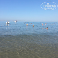 фото из отзыва ID 1558957