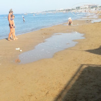 фото из отзыва ID 1558957