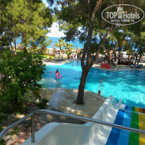 фото из отзыва ID 1552200