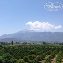 фото из отзыва ID 1557988