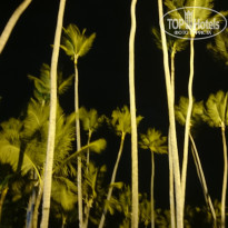 фото из отзыва ID 1559220