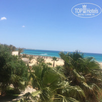 фото из отзыва ID 1558142