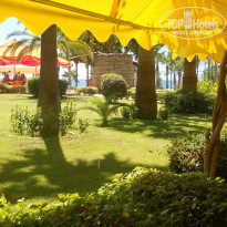 фото из отзыва ID 1558531