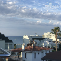 фото из отзыва ID 1559433