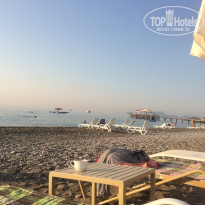 фото из отзыва ID 1559590