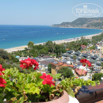 фото из отзыва ID 1557359