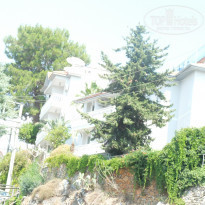 фото из отзыва ID 1557359