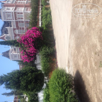 фото из отзыва ID 1557323