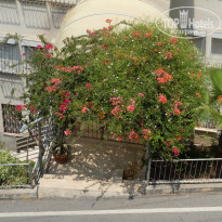 фото из отзыва ID 1557359