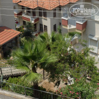 фото из отзыва ID 1557359