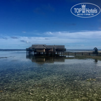 фото из отзыва ID 1559656