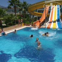 фото из отзыва ID 1559379