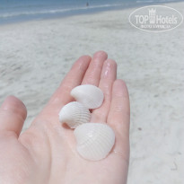 фото из отзыва ID 1552989