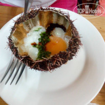 фото из отзыва ID 1552989