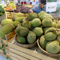 фото из отзыва ID 1552989