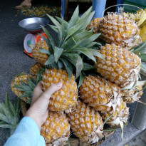 фото из отзыва ID 1552989