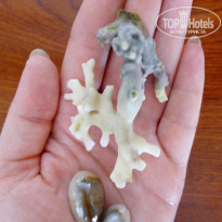 фото из отзыва ID 1552989