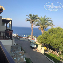 фото из отзыва ID 1559362