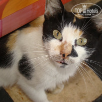 фото из отзыва ID 1550803