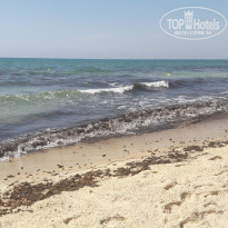 фото из отзыва ID 1557791