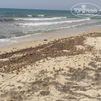 фото из отзыва ID 1557791