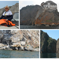 фото из отзыва ID 1554183