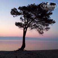 фото из отзыва ID 1554183