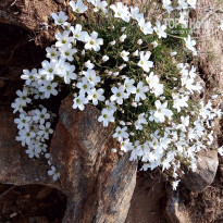 фото из отзыва ID 1554183