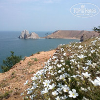 фото из отзыва ID 1554183