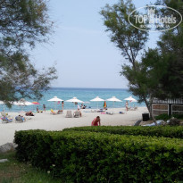 фото из отзыва ID 1551760