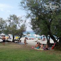 фото из отзыва ID 1551760