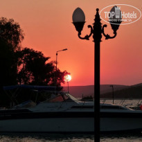 фото из отзыва ID 156599