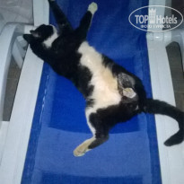 фото из отзыва ID 1560252