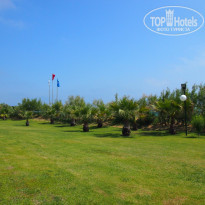 фото из отзыва ID 1560286