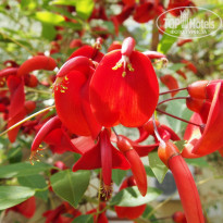 фото из отзыва ID 1560286