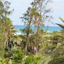 фото из отзыва ID 1560449