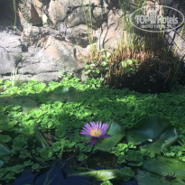 фото из отзыва ID 1560532