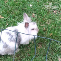 фото из отзыва ID 1560804