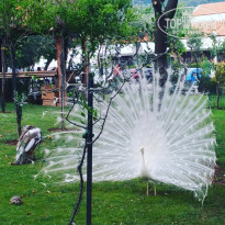 фото из отзыва ID 1560804