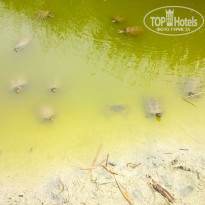 фото из отзыва ID 1560970