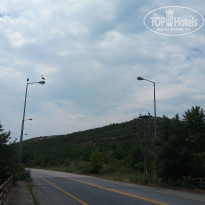 фото из отзыва ID 1560970