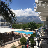 фото из отзыва ID 1561141