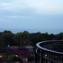 фото из отзыва ID 1561157