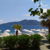 фото из отзыва ID 1561359