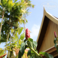 фото из отзыва ID 1560998