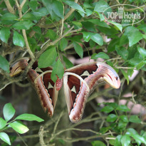 фото из отзыва ID 1560998